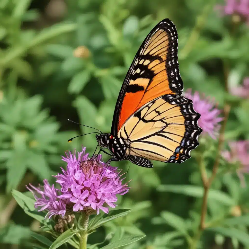 Backyard Birding and Butterfly Bliss at Crooked Pines Farm