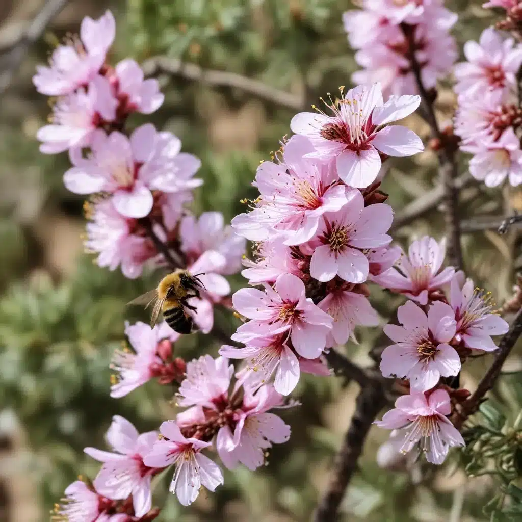 Bountiful Blooms and Buzzing Bees: Spring’s Arrival at Crooked Pines