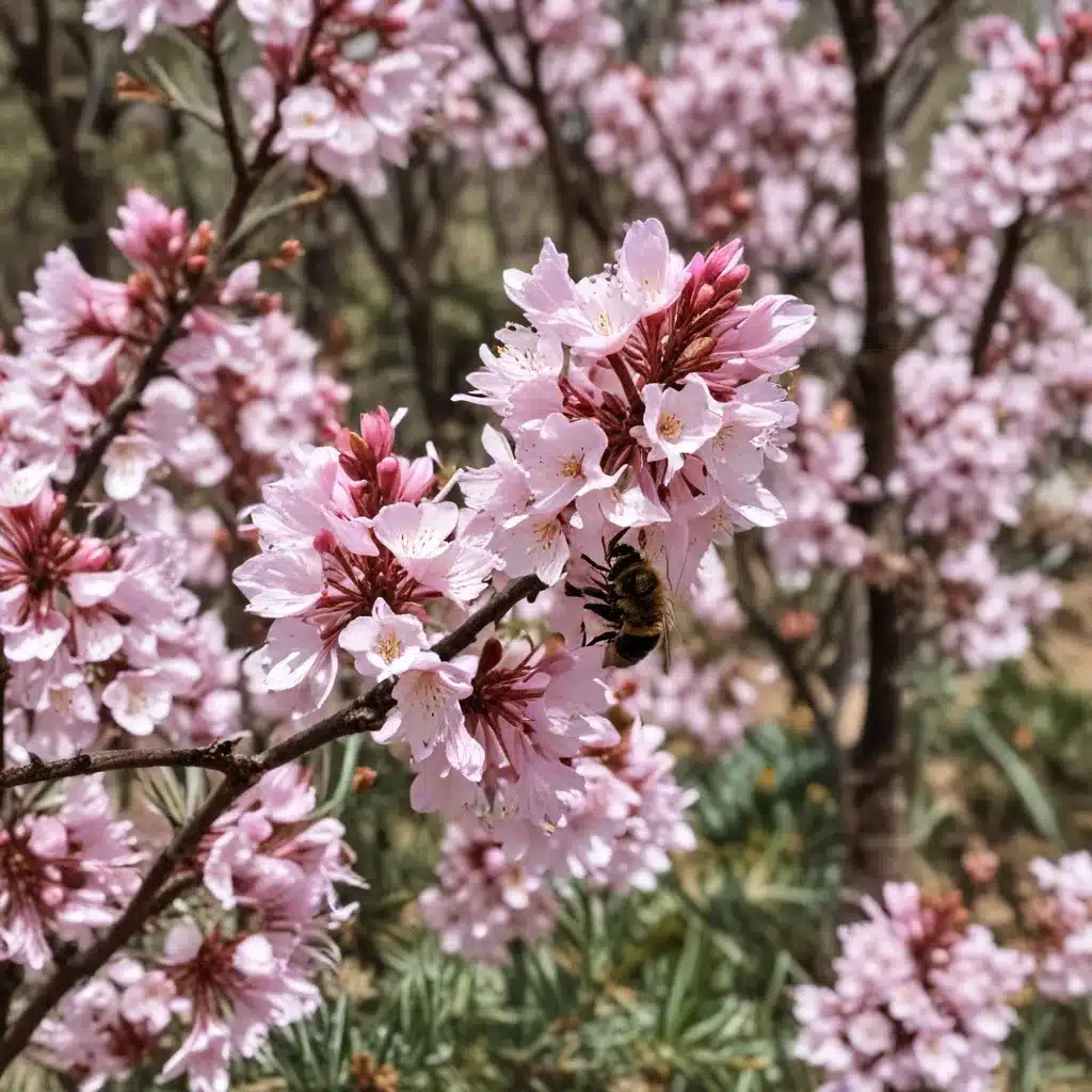 Bountiful Blooms and Buzzing Bees: Springtime at Crooked Pines