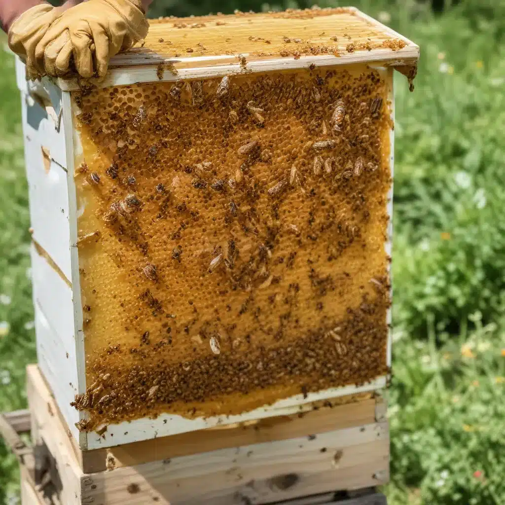 Harvesting Honey: A Sticky Sweet Adventure with Bees