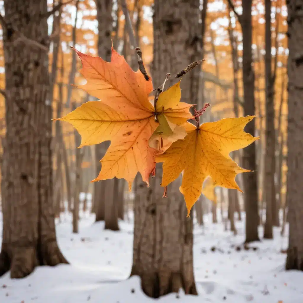 Magical Maple Sugaring and Woodland Wonders at Crooked Pines Farm