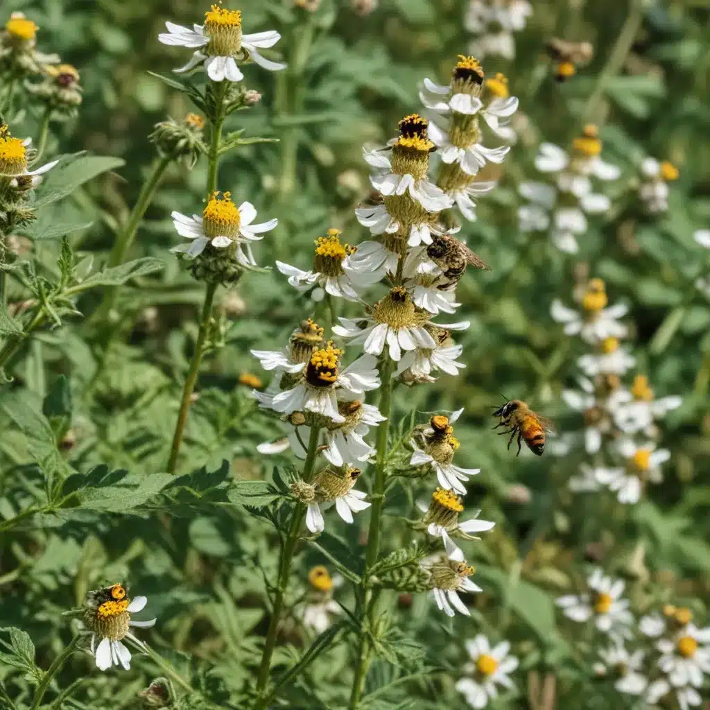 Nurturing Nature: Creating a Pollinator-Friendly Farm